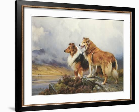 Collies in a Highland Landscape-Wright Barker-Framed Premium Giclee Print