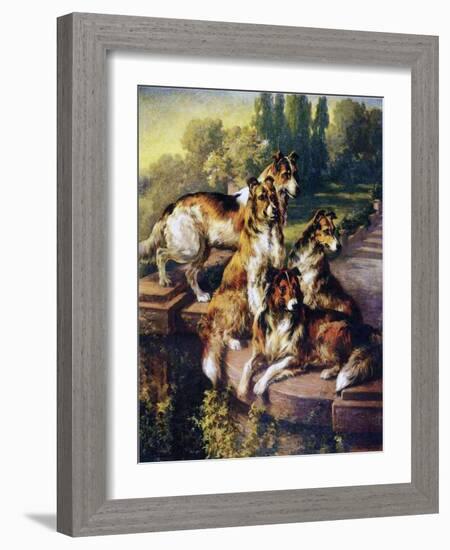 Collies-Edmund Henry Osthaus-Framed Giclee Print