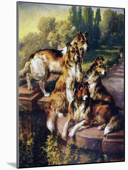 Collies-Edmund Henry Osthaus-Mounted Giclee Print