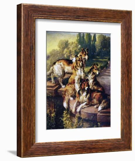 Collies-Edmund Henry Osthaus-Framed Giclee Print