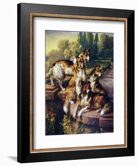 Collies-Edmund Henry Osthaus-Framed Giclee Print