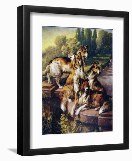 Collies-Edmund Henry Osthaus-Framed Giclee Print