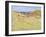 Collioure Landscape-Georges Daniel De Monfreid-Framed Giclee Print