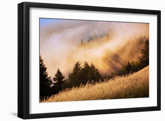 Collision of Light and Fog, Sunset from Mount Tamalpais, San Francisco-Vincent James-Framed Photographic Print