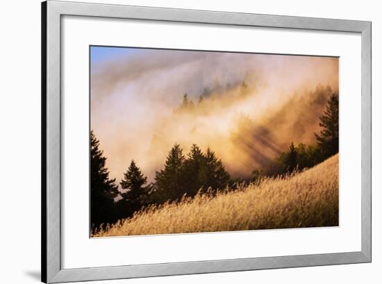 Collision of Light and Fog, Sunset from Mount Tamalpais, San Francisco-Vincent James-Framed Photographic Print