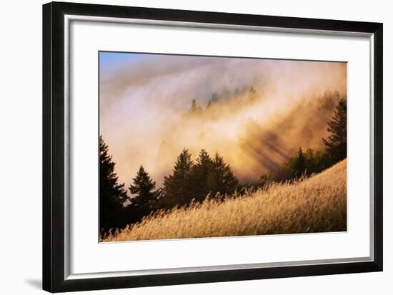 Collision of Light and Fog, Sunset from Mount Tamalpais, San Francisco-Vincent James-Framed Photographic Print