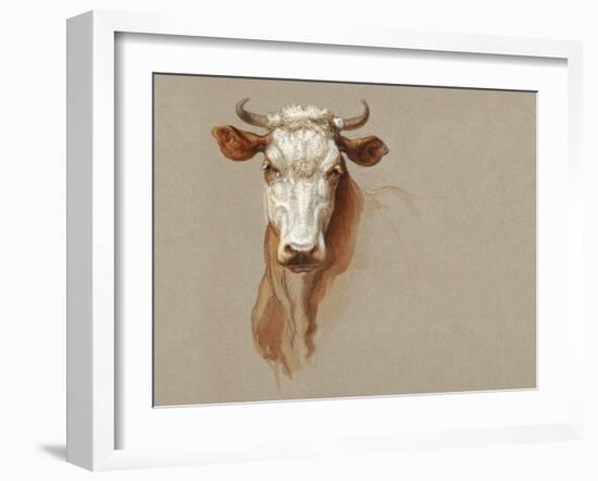 Colman Cow Portrait Study I-Samuel Colman-Framed Art Print