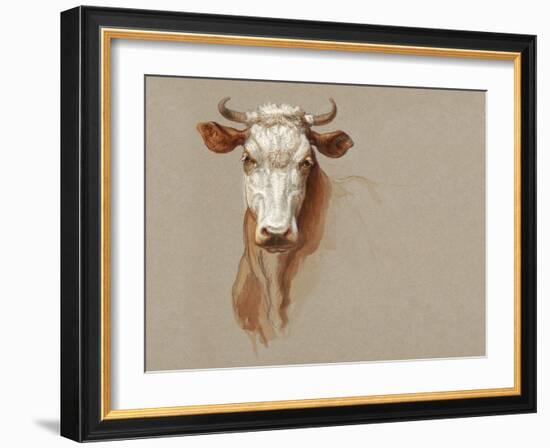 Colman Cow Portrait Study I-Samuel Colman-Framed Art Print