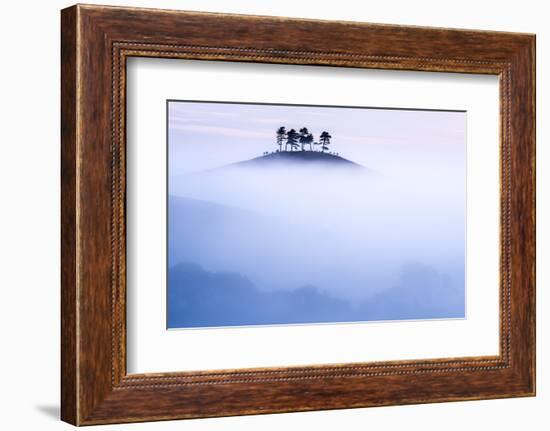 Colmers Hill in morning mist, near Bridport, Dorset, UK-Ross Hoddinott-Framed Photographic Print