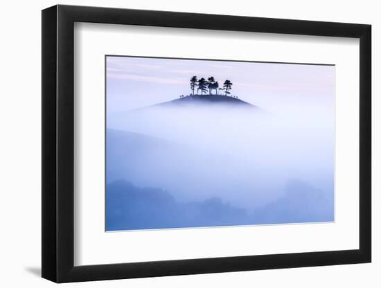 Colmers Hill in morning mist, near Bridport, Dorset, UK-Ross Hoddinott-Framed Photographic Print