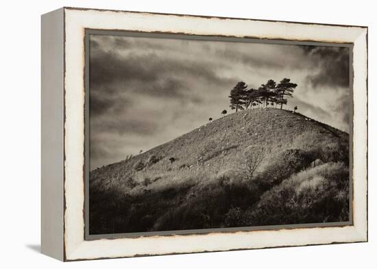 Colmers Hill-Tim Kahane-Framed Premier Image Canvas