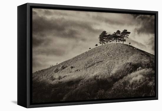 Colmers Hill-Tim Kahane-Framed Premier Image Canvas