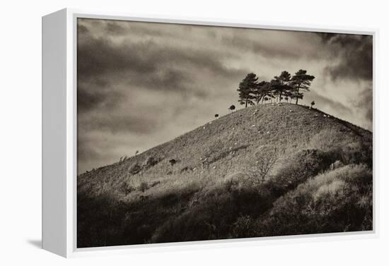 Colmers Hill-Tim Kahane-Framed Premier Image Canvas