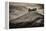 Colmers Hill-Tim Kahane-Framed Premier Image Canvas