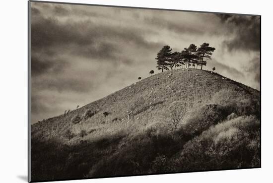 Colmers Hill-Tim Kahane-Mounted Photographic Print