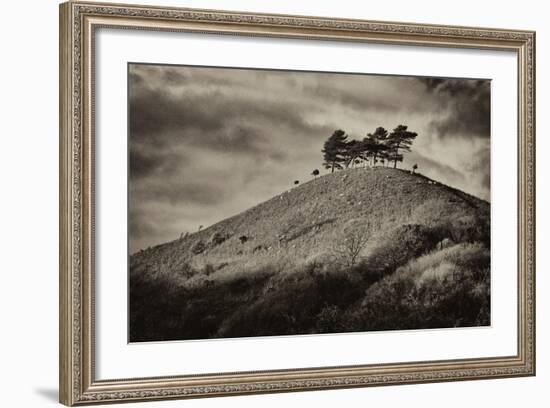 Colmers Hill-Tim Kahane-Framed Photographic Print