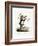 Colobus Monkey-null-Framed Giclee Print