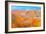 Coloful Forms at Zhanhye Danxie Geo Park, China Gansu Province, Ballands Eroded in Muliple Colors-Tom Till-Framed Photographic Print