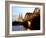 Cologne Cathedral and Hohenzollern Bridge at Night, Cologne, North Rhine Westphalia, Germany-Yadid Levy-Framed Photographic Print