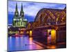 Cologne Cathedral in Cologne, Germany.-SeanPavonePhoto-Mounted Photographic Print