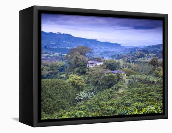 Colombia, Caldas, Manizales, Chinchina, Coffee Plantation at Hacienda De Guayabal at Dawn-Jane Sweeney-Framed Premier Image Canvas