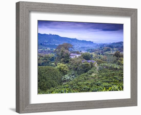 Colombia, Caldas, Manizales, Chinchina, Coffee Plantation at Hacienda De Guayabal at Dawn-Jane Sweeney-Framed Photographic Print