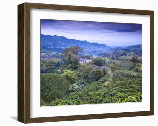 Colombia, Caldas, Manizales, Chinchina, Coffee Plantation at Hacienda De Guayabal at Dawn-Jane Sweeney-Framed Photographic Print