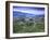 Colombia, Caldas, Manizales, Chinchina, Coffee Plantation at Hacienda De Guayabal at Dawn-Jane Sweeney-Framed Photographic Print