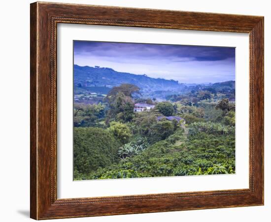 Colombia, Caldas, Manizales, Chinchina, Coffee Plantation at Hacienda De Guayabal at Dawn-Jane Sweeney-Framed Photographic Print