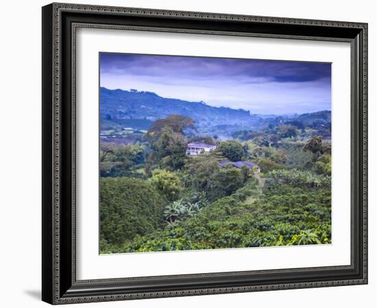 Colombia, Caldas, Manizales, Chinchina, Coffee Plantation at Hacienda De Guayabal at Dawn-Jane Sweeney-Framed Photographic Print