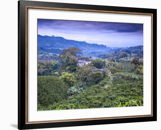 Colombia, Caldas, Manizales, Chinchina, Coffee Plantation at Hacienda De Guayabal at Dawn-Jane Sweeney-Framed Photographic Print