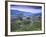 Colombia, Caldas, Manizales, Chinchina, Coffee Plantation at Hacienda De Guayabal at Dawn-Jane Sweeney-Framed Photographic Print