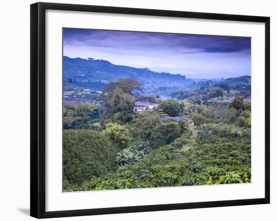 Colombia, Caldas, Manizales, Chinchina, Coffee Plantation at Hacienda De Guayabal at Dawn-Jane Sweeney-Framed Photographic Print