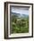 Colombia, Caldas, Manizales, Chinchina, Coffee Plantation at Hacienda De Guayabal at Dawn-Jane Sweeney-Framed Photographic Print