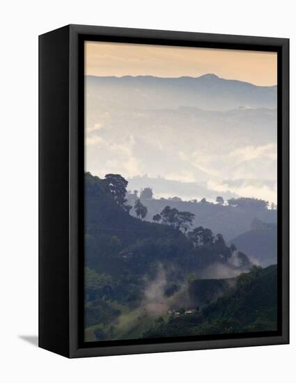 Colombia, Caldas, Manizales, Chinchina, Coffee Plantation at Hacienda De Guayabal at Dawn-Jane Sweeney-Framed Premier Image Canvas