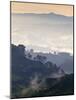 Colombia, Caldas, Manizales, Chinchina, Coffee Plantation at Hacienda De Guayabal at Dawn-Jane Sweeney-Mounted Photographic Print