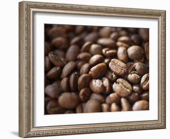 Colombia, Caldas, Manizales, Colombian Coffee Beans-Jane Sweeney-Framed Photographic Print