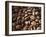 Colombia, Caldas, Manizales, Colombian Coffee Beans-Jane Sweeney-Framed Photographic Print