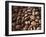 Colombia, Caldas, Manizales, Colombian Coffee Beans-Jane Sweeney-Framed Photographic Print