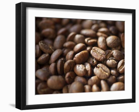 Colombia, Caldas, Manizales, Colombian Coffee Beans-Jane Sweeney-Framed Photographic Print