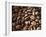 Colombia, Caldas, Manizales, Colombian Coffee Beans-Jane Sweeney-Framed Photographic Print