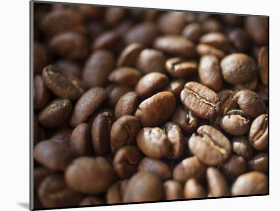 Colombia, Caldas, Manizales, Colombian Coffee Beans-Jane Sweeney-Mounted Photographic Print