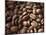 Colombia, Caldas, Manizales, Colombian Coffee Beans-Jane Sweeney-Mounted Photographic Print