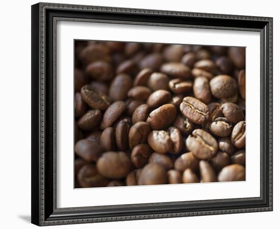 Colombia, Caldas, Manizales, Colombian Coffee Beans-Jane Sweeney-Framed Photographic Print