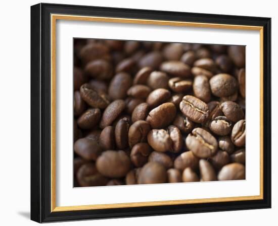 Colombia, Caldas, Manizales, Colombian Coffee Beans-Jane Sweeney-Framed Photographic Print