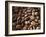 Colombia, Caldas, Manizales, Colombian Coffee Beans-Jane Sweeney-Framed Photographic Print