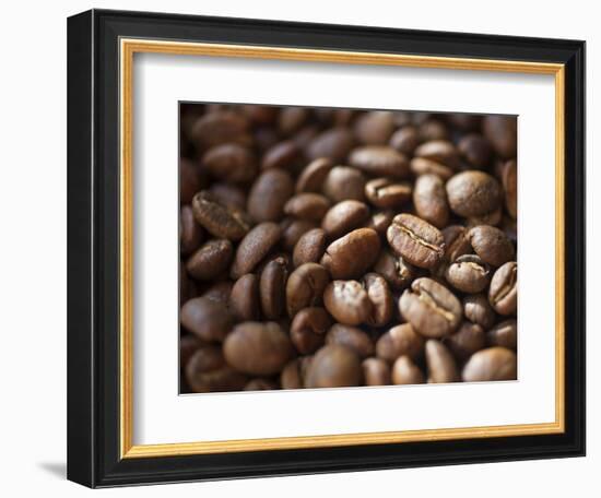 Colombia, Caldas, Manizales, Colombian Coffee Beans-Jane Sweeney-Framed Photographic Print