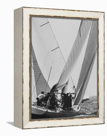 "Colombia" During Trial Race for the America's Cup-null-Framed Premier Image Canvas