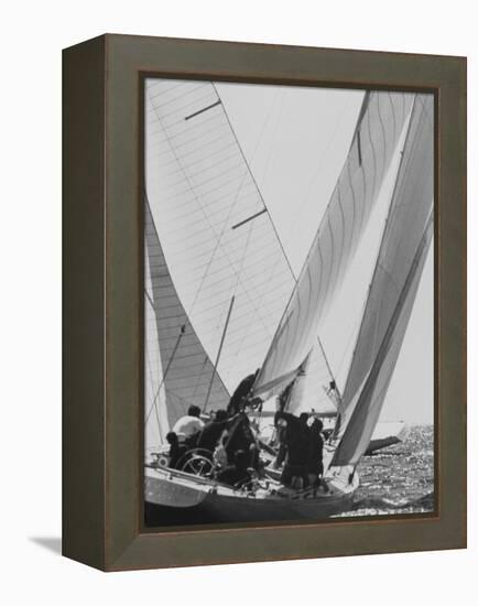 "Colombia" During Trial Race for the America's Cup-null-Framed Premier Image Canvas