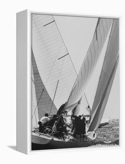 "Colombia" During Trial Race for the America's Cup-null-Framed Premier Image Canvas